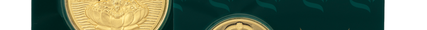 A Moment in Gold: The Story of a Coin That Became a Memory